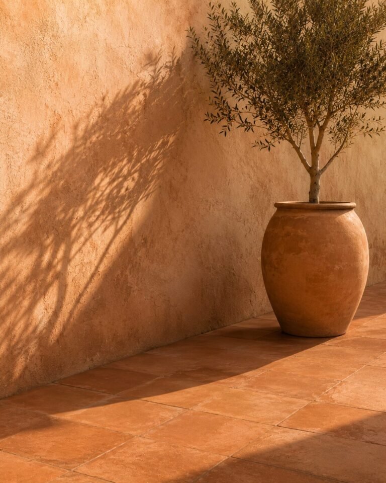 Terracotta floor tiles meeting a clay-rendered wall, with a single olive tree in a large unglazed terracotta pot casting a long shadow