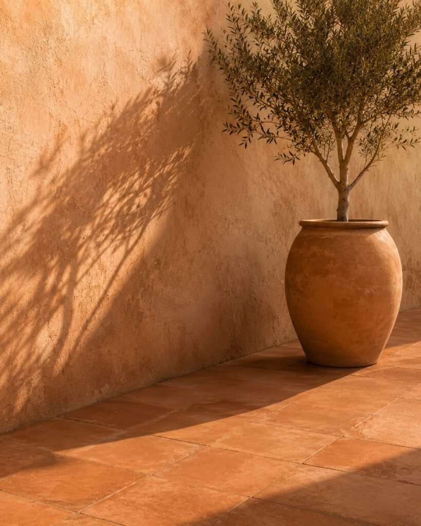 Terracotta floor tiles meeting a clay-rendered wall, with a single olive tree in a large unglazed terracotta pot casting a long shadow